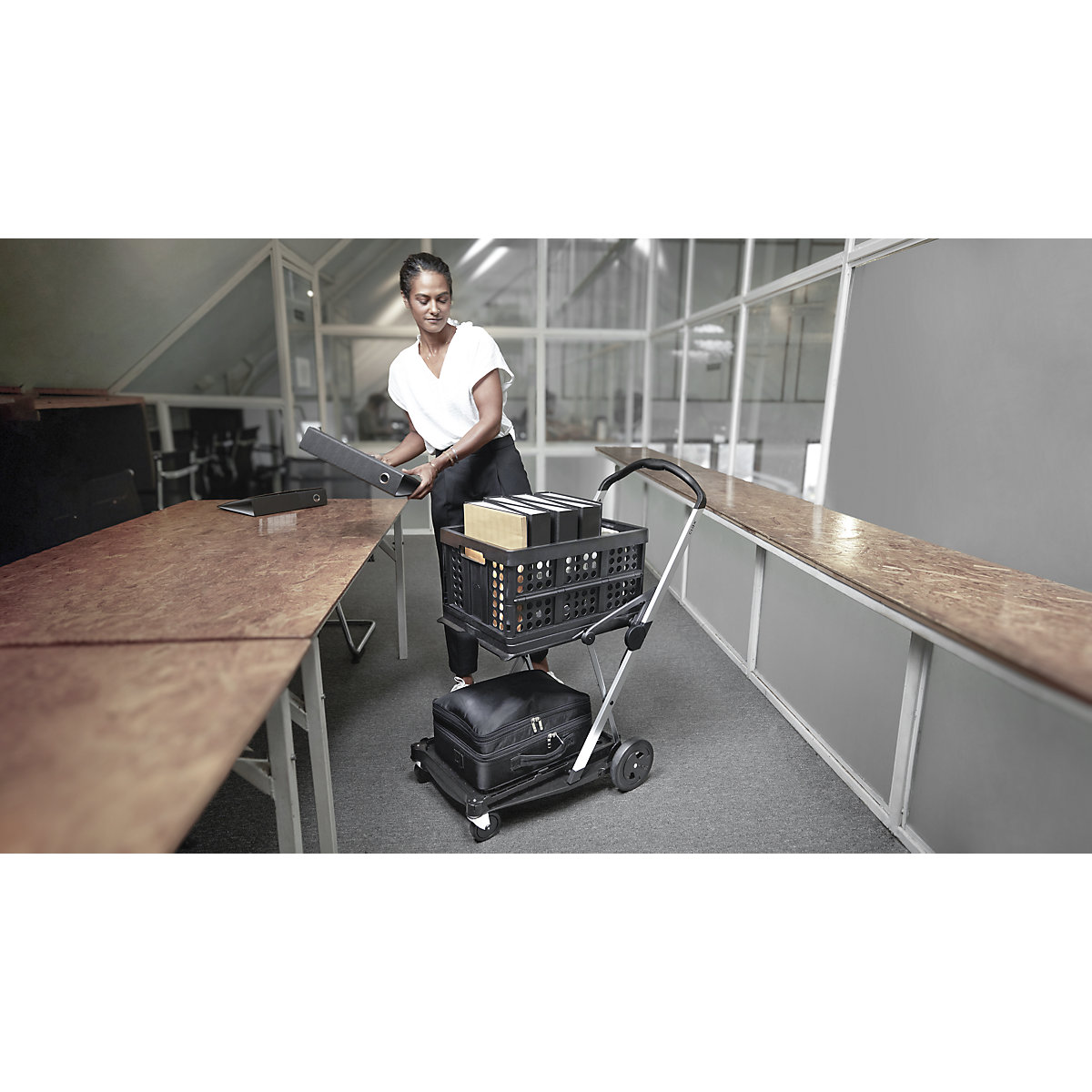 Carrito plegable CLAX (Imagen del producto 6)-5