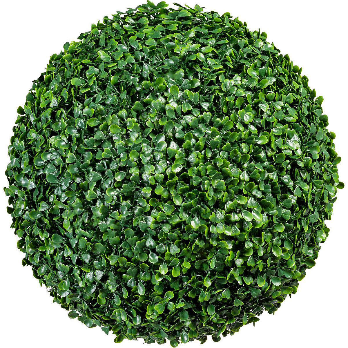Buxo em bola (Imagem do produto 2)-1