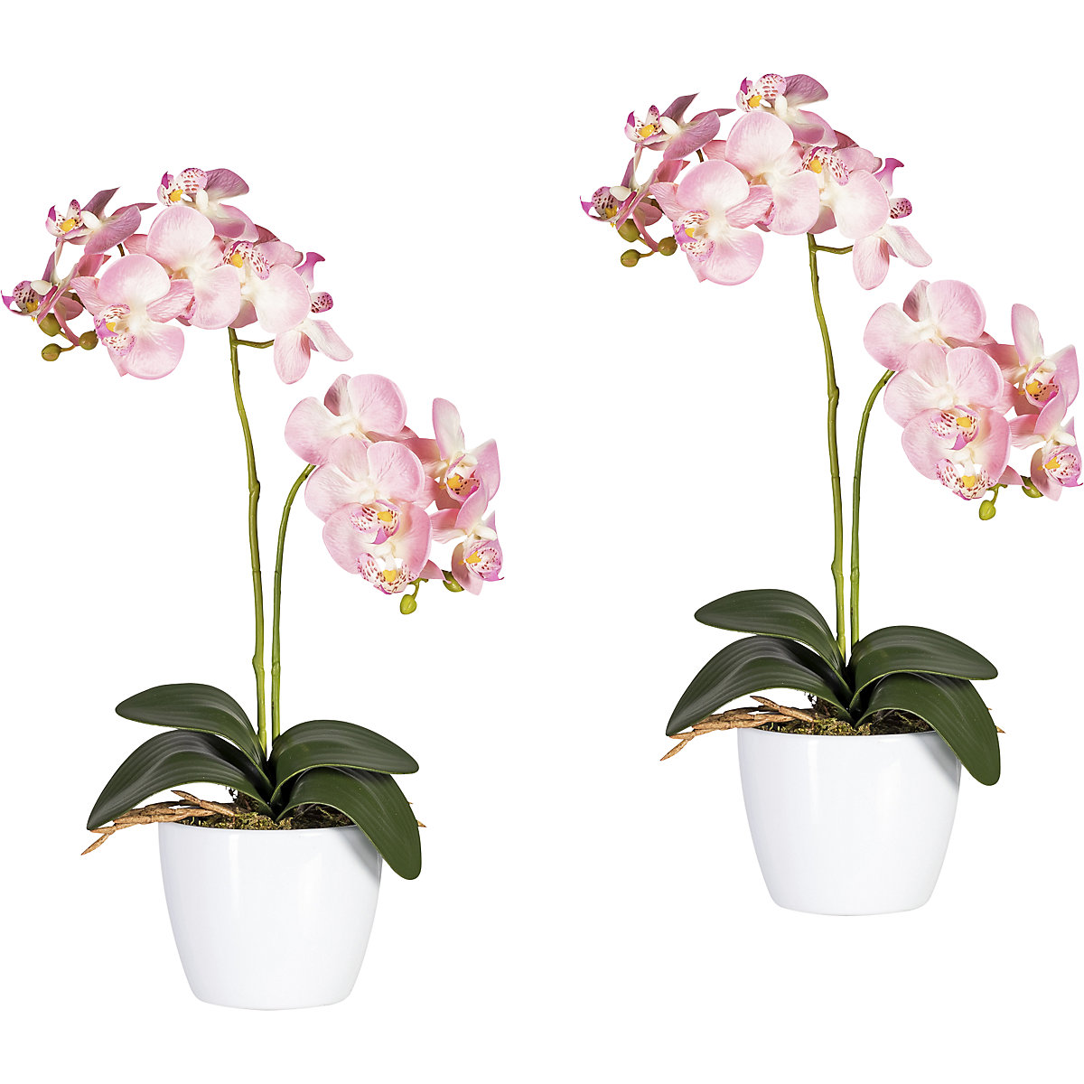 Orquídea em vaso cerâmico branco, altura 500 mm, embalagem de 2 unid., flor em cor-de-rosa-4