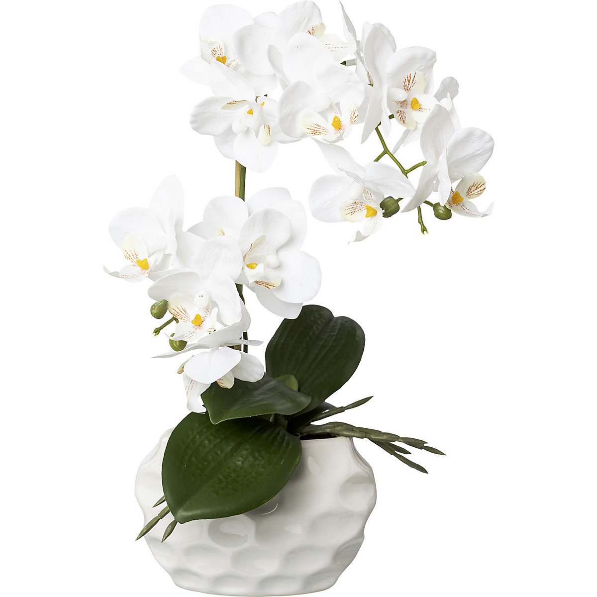 Orquídea, toque real (Imagem do produto 2)-1