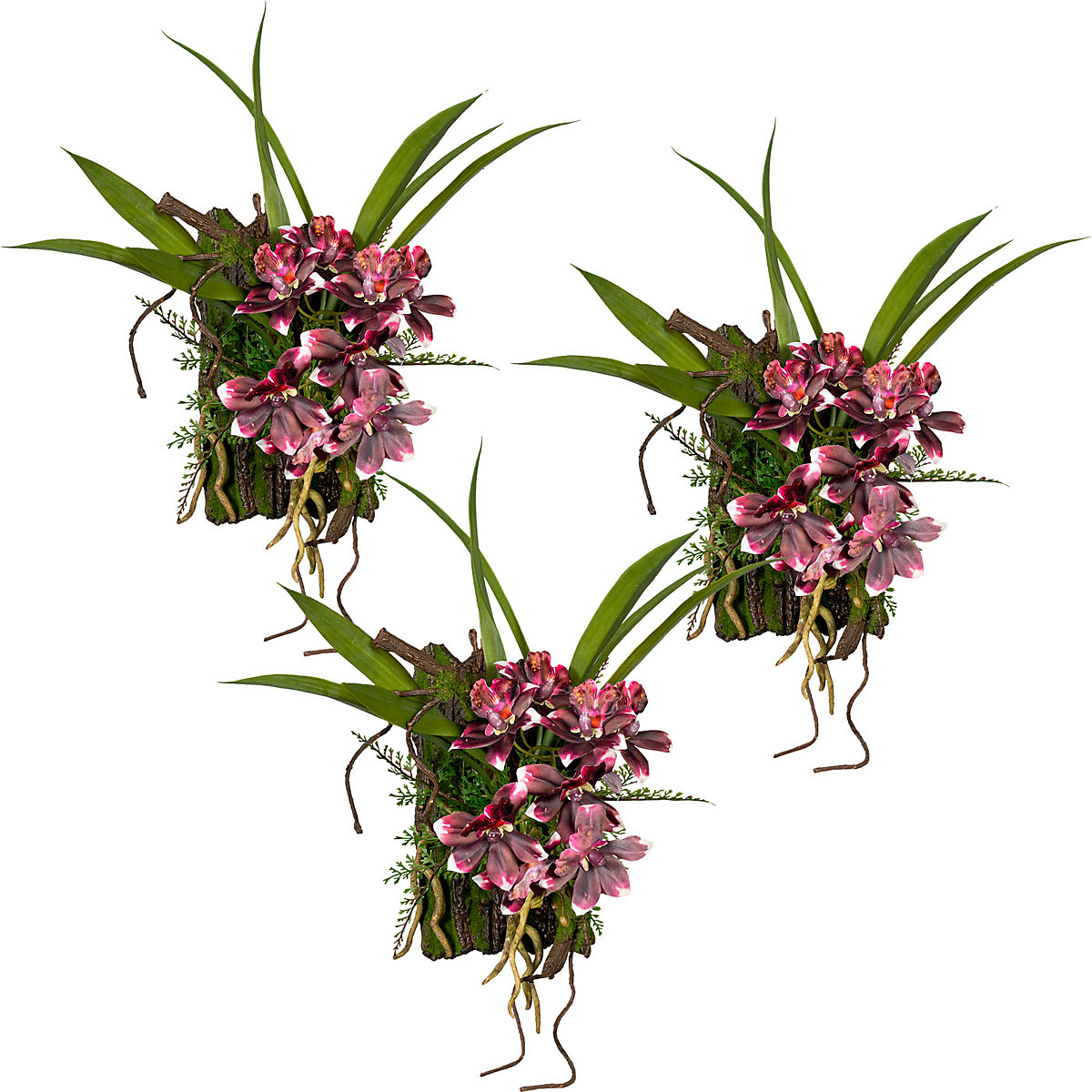 Dendrobium sobre casca, embalagem de 3 unid., aprox. 400 x 300 mm, bordeaux/creme