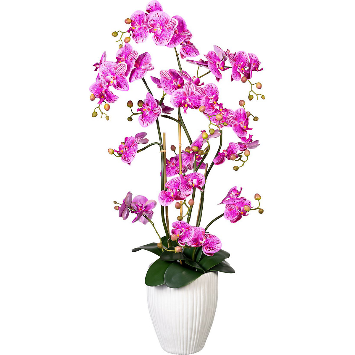Orquídea Phalaenopsis, toque real, em vaso cerâmico, altura aprox. 1100 mm, lilás-rosa