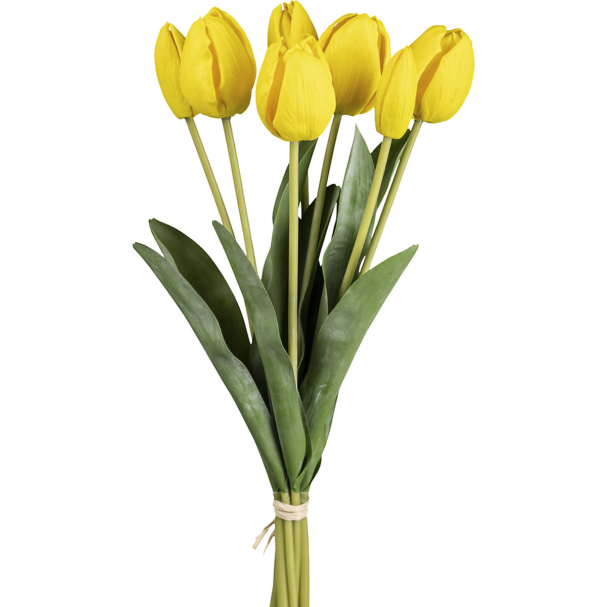Manojo de 7 tulipanes (Imagen del producto 2)-1