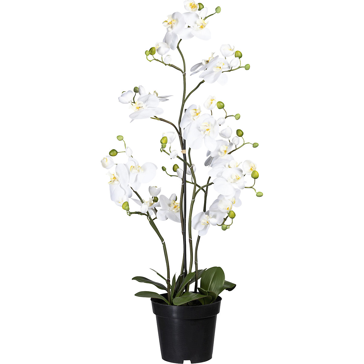 Phalaenopsis, real touch, altura 900 mm, 11 hojas, blanca