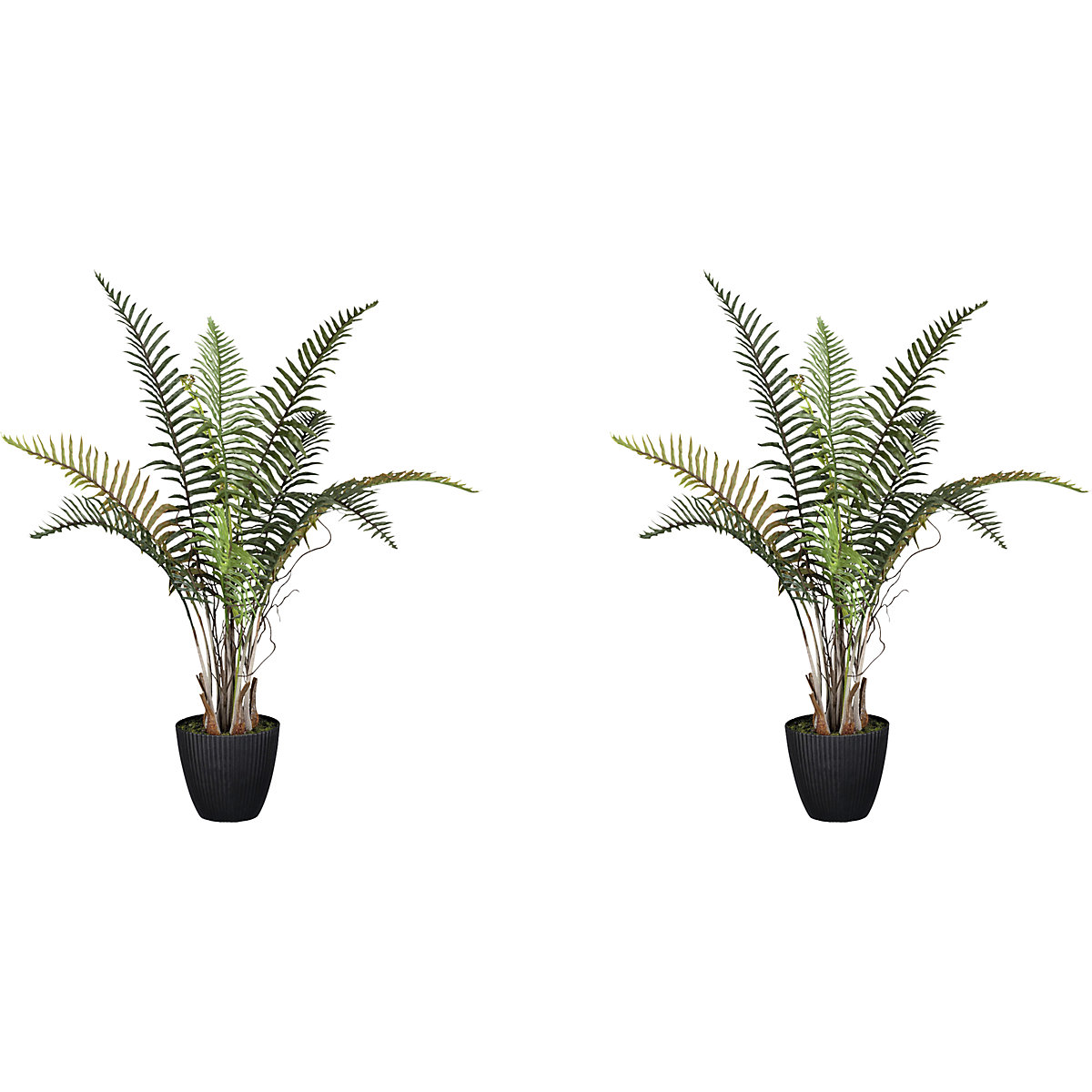 Planta artificial, helecho Blechnum