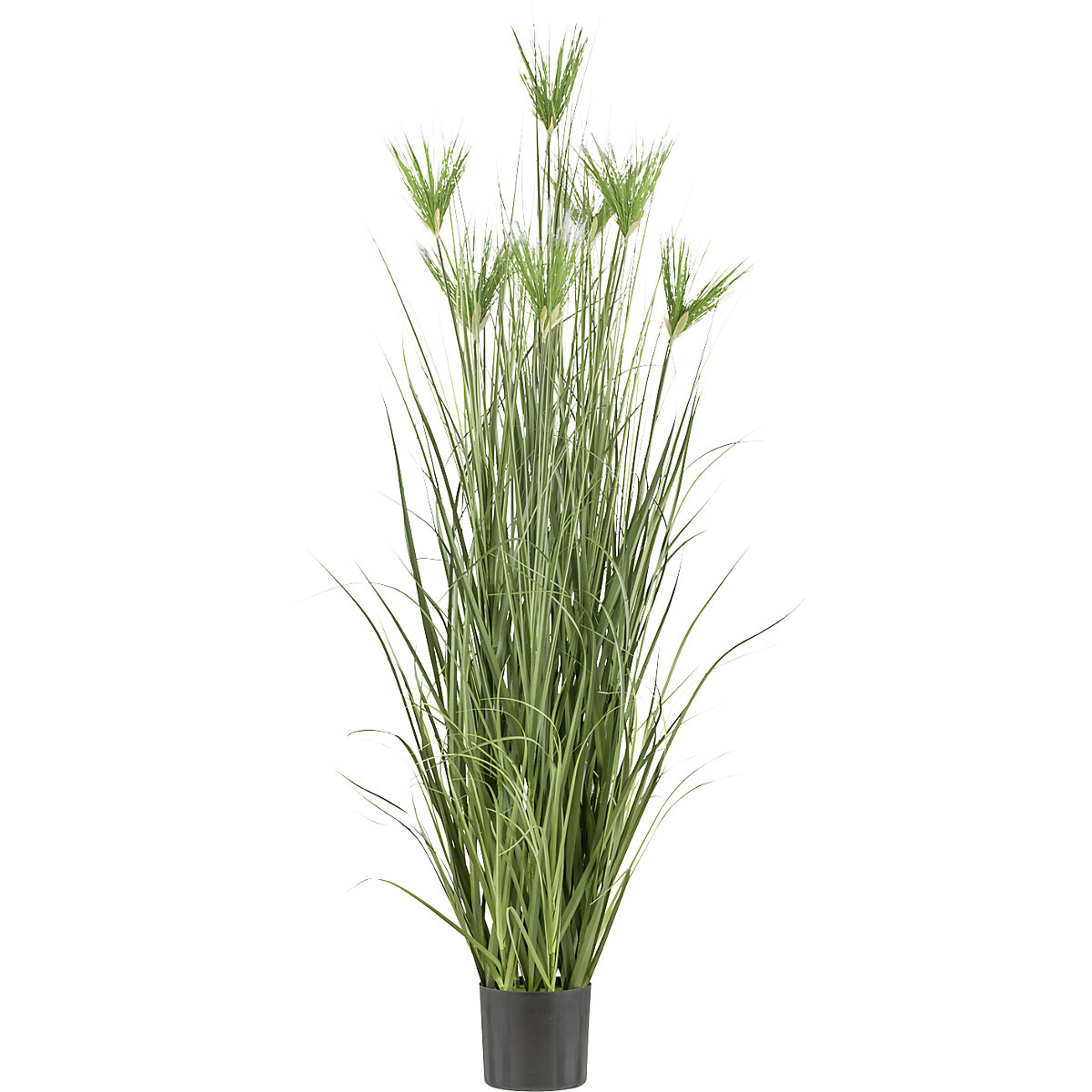 Planta artificial, hierba Cyperus longus