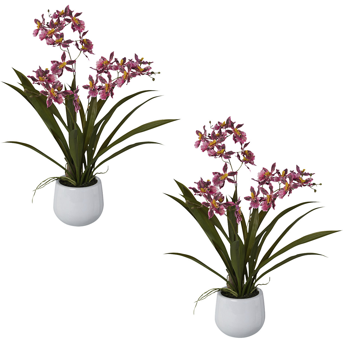 Planta artificial, orquídea Cambria