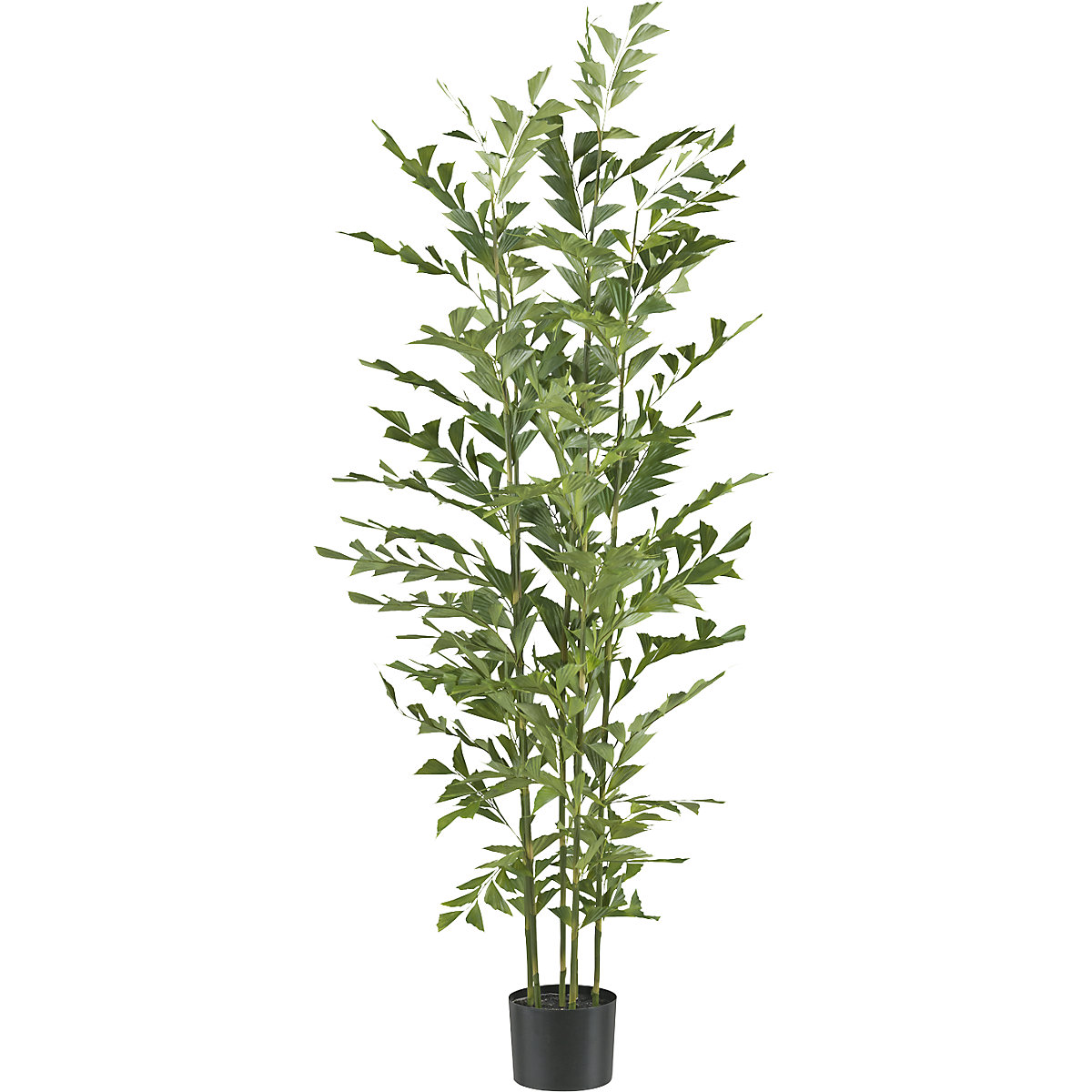 Planta artificial, palmera Caryota mitis
