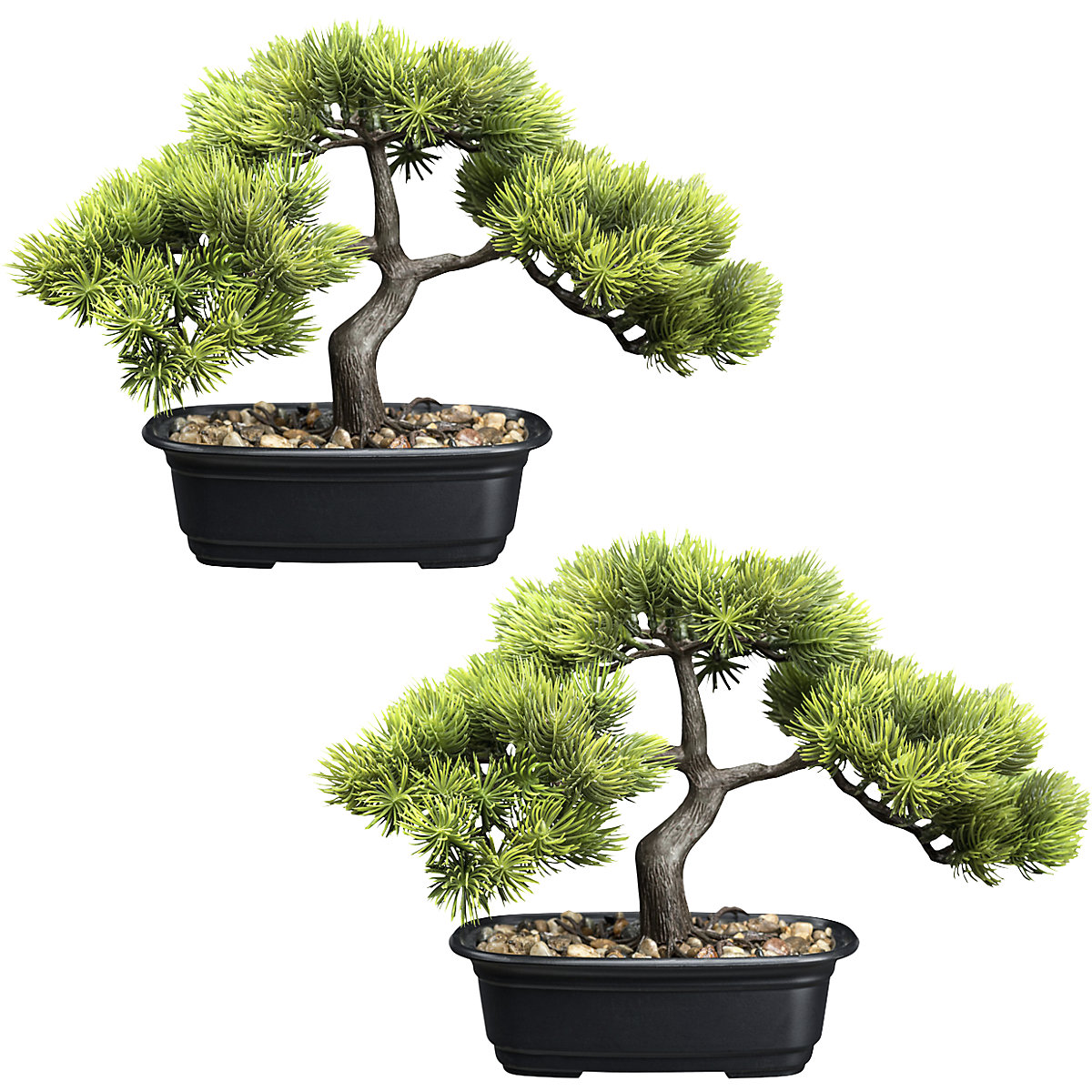 Planta artificial, pino bonsái