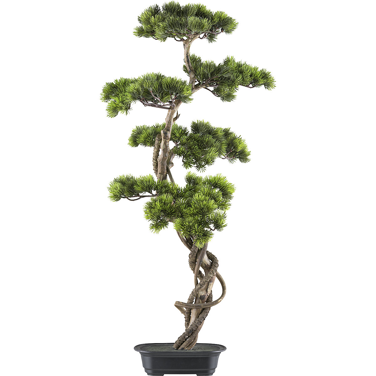 Planta artificial, pino bonsái