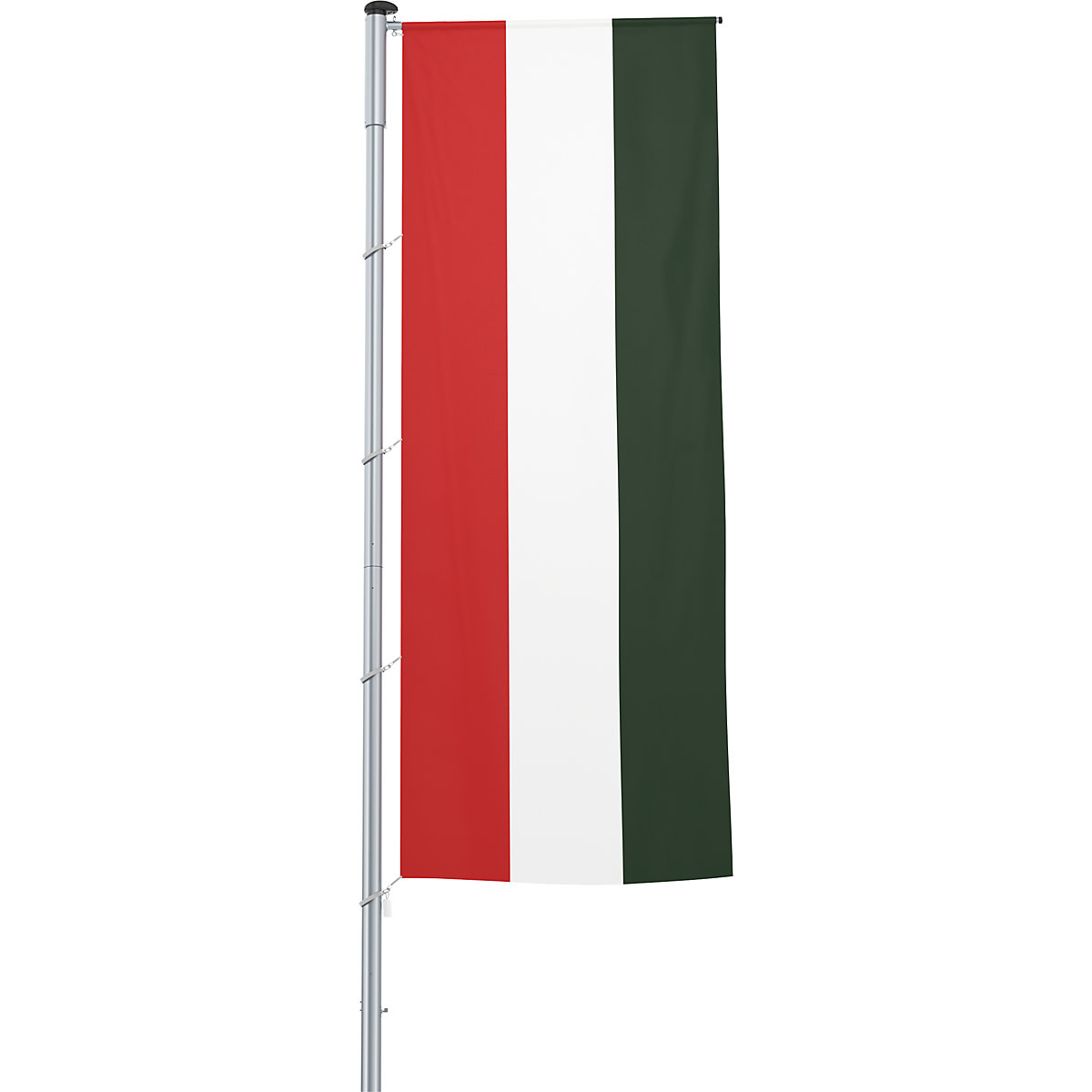 Mannus – Bandera con pluma/bandera del país, formato 1,2 x 3 m, Hungría