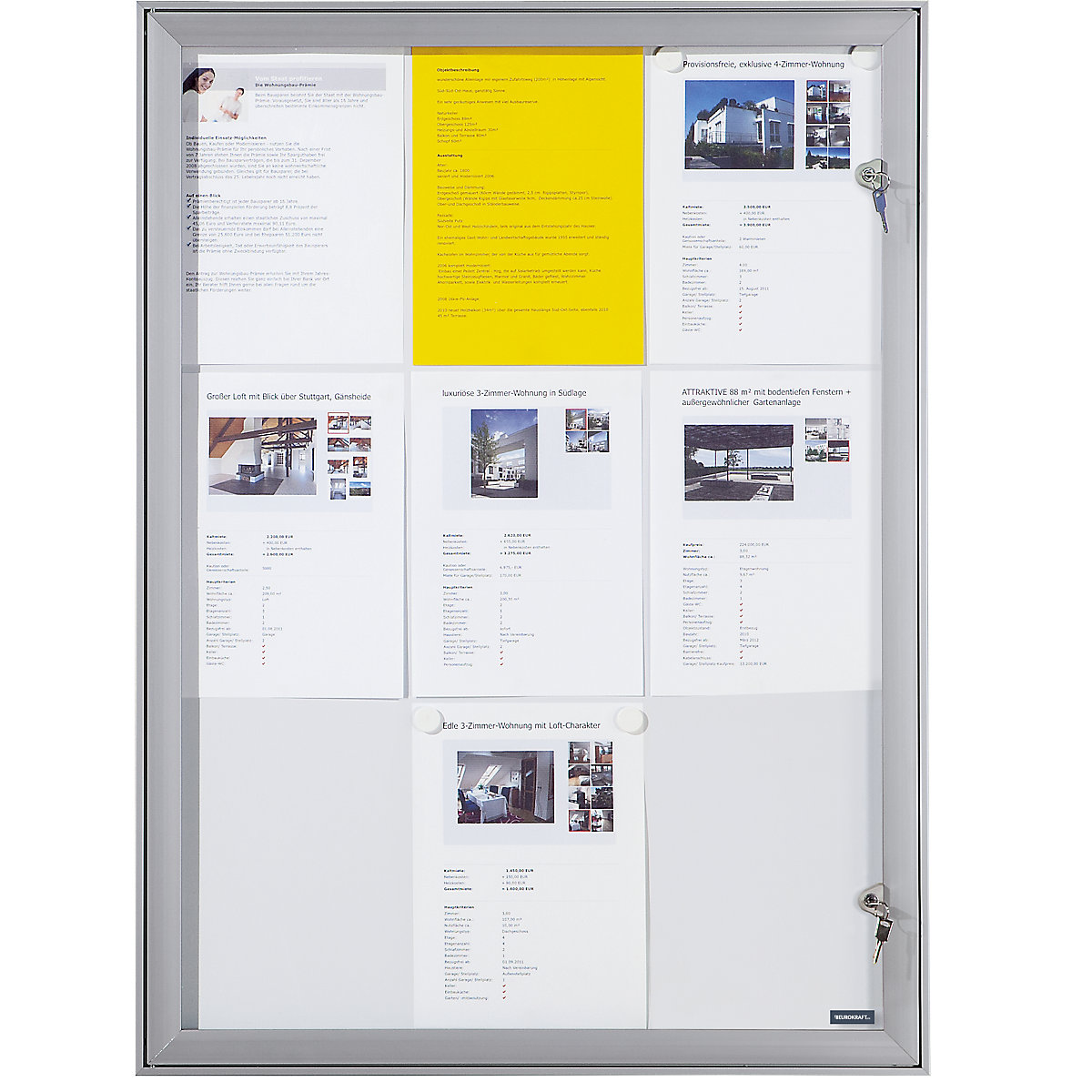 Vitrina com porta de batente – eurokraft pro (Imagem do produto 4)-3