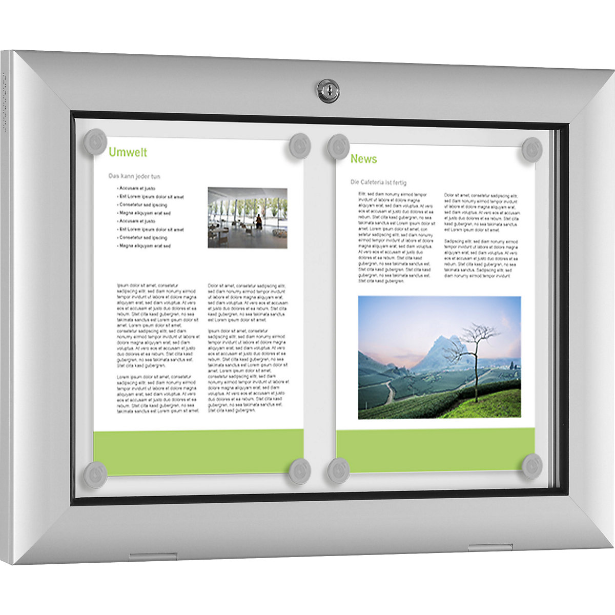 Vitrine para interiores e exteriores (Imagem do produto 5)-4