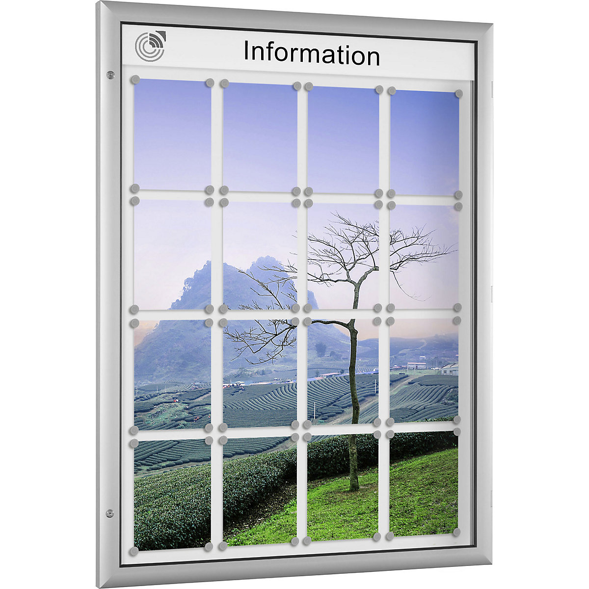 Vitrine plana (Imagem do produto 4)-3