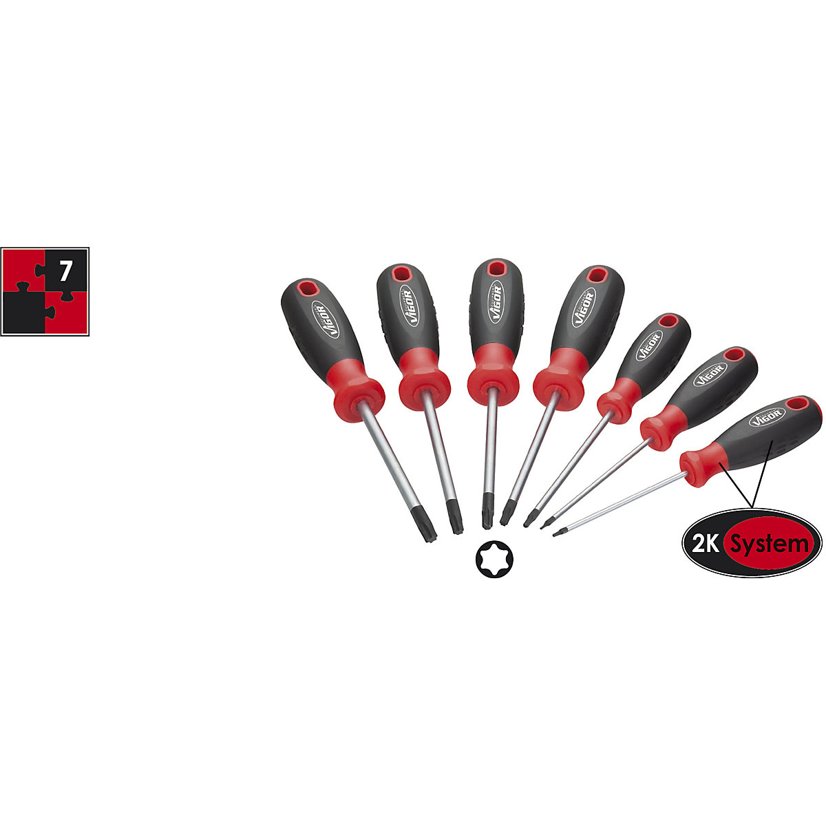 Hexalobular screwdriver set - VIGOR