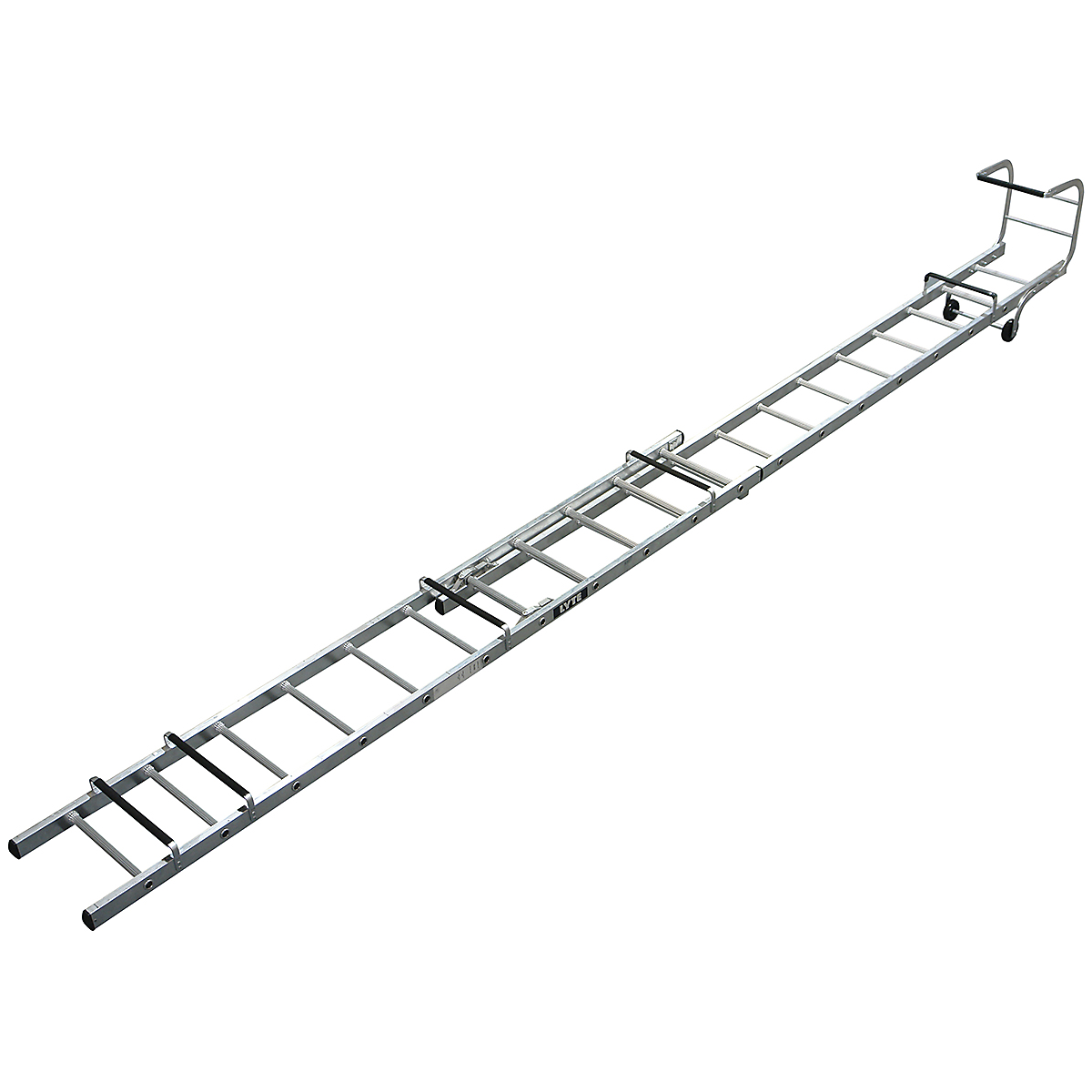 LYRFL1311_1