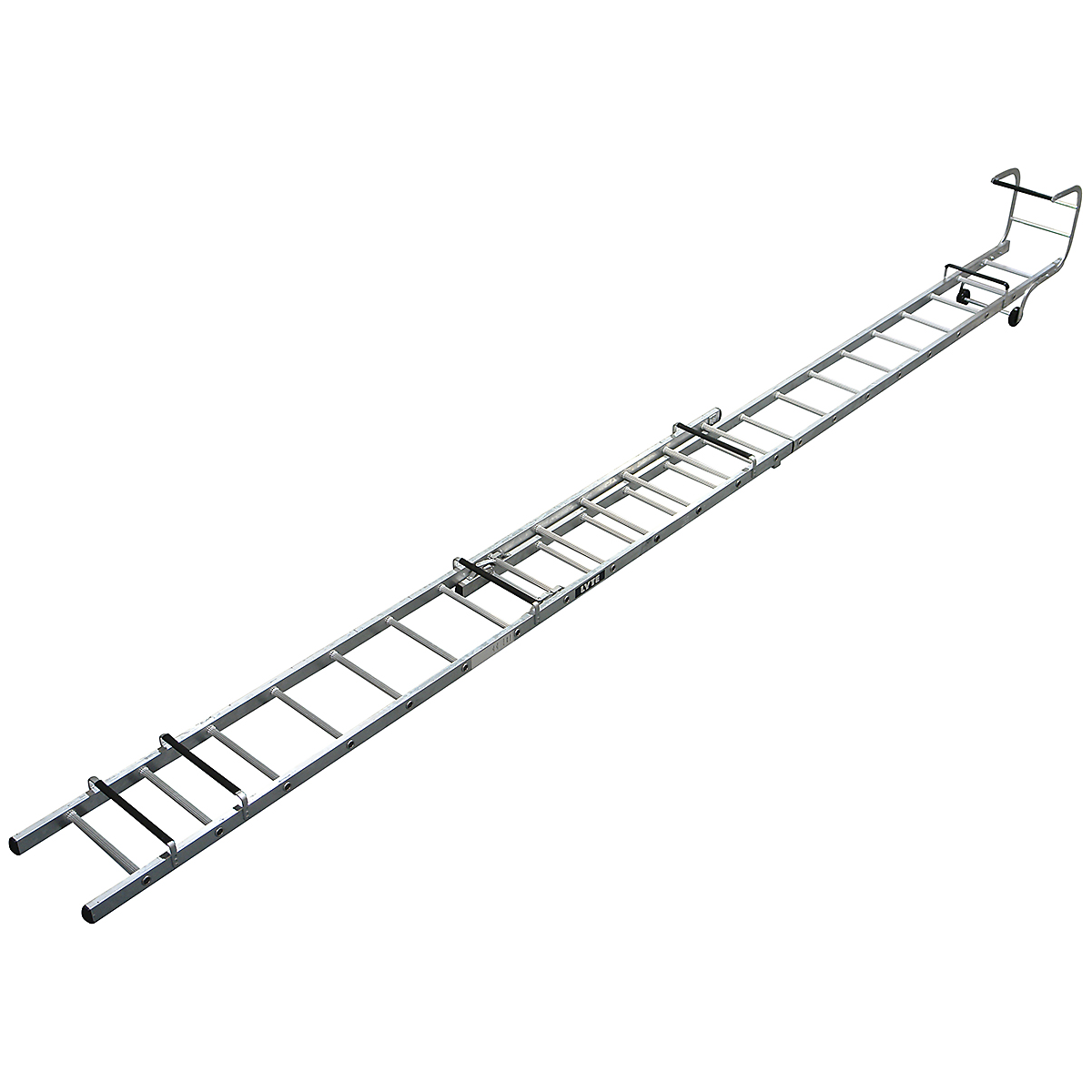 LYRFL1513_1