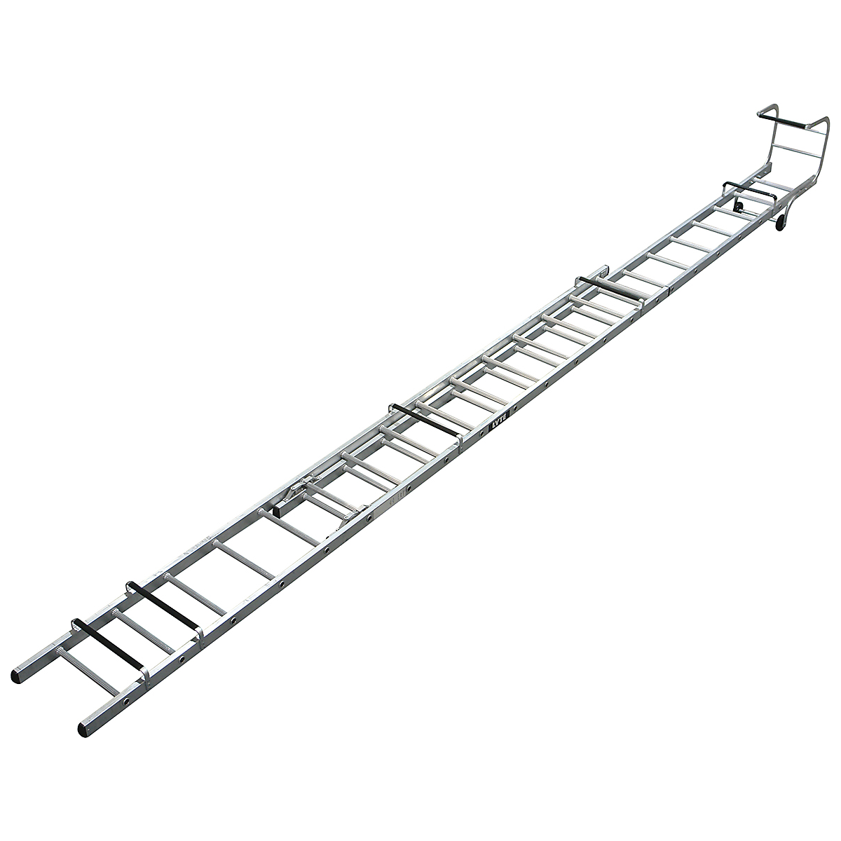 LYRFL1715_1