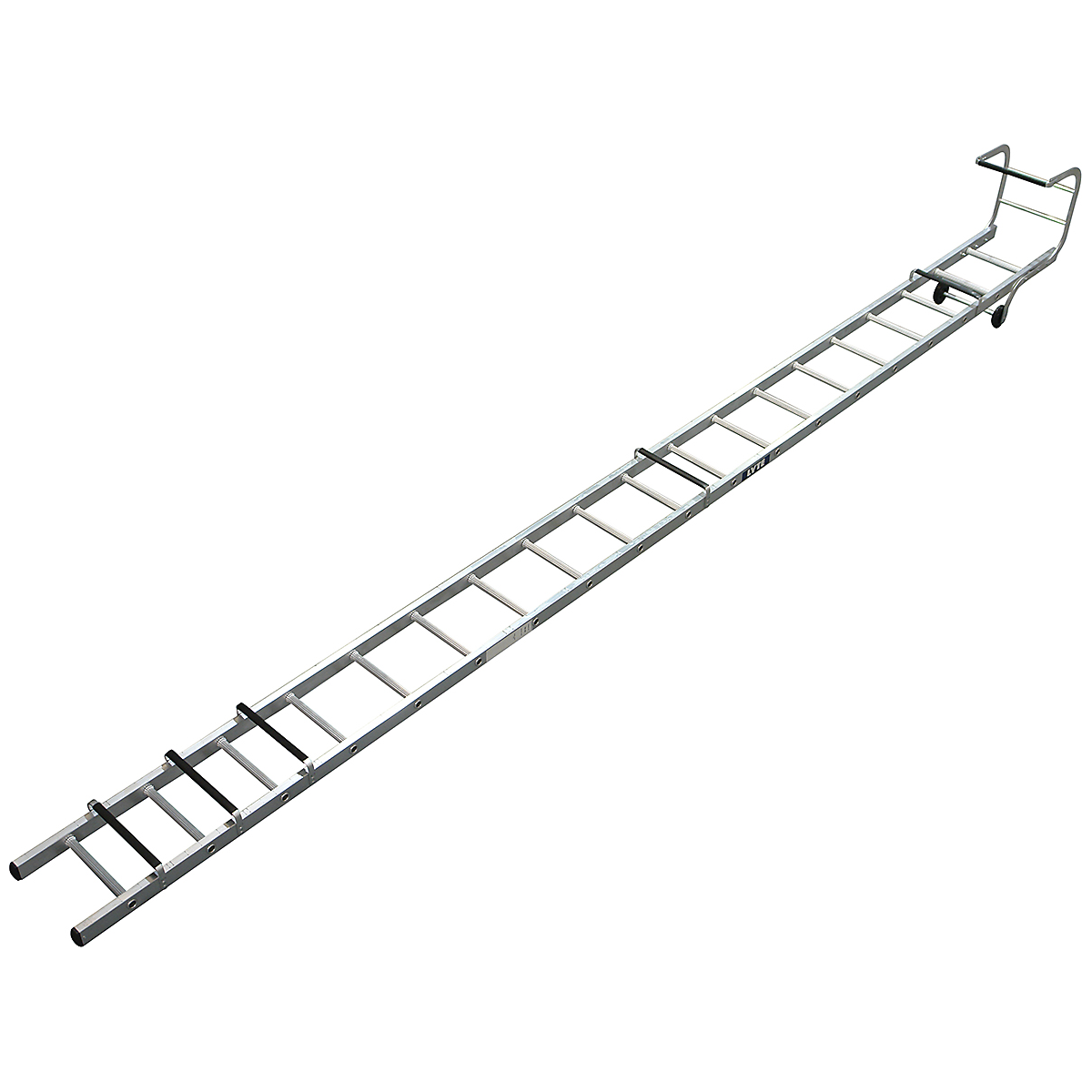 LYRFL19_1
