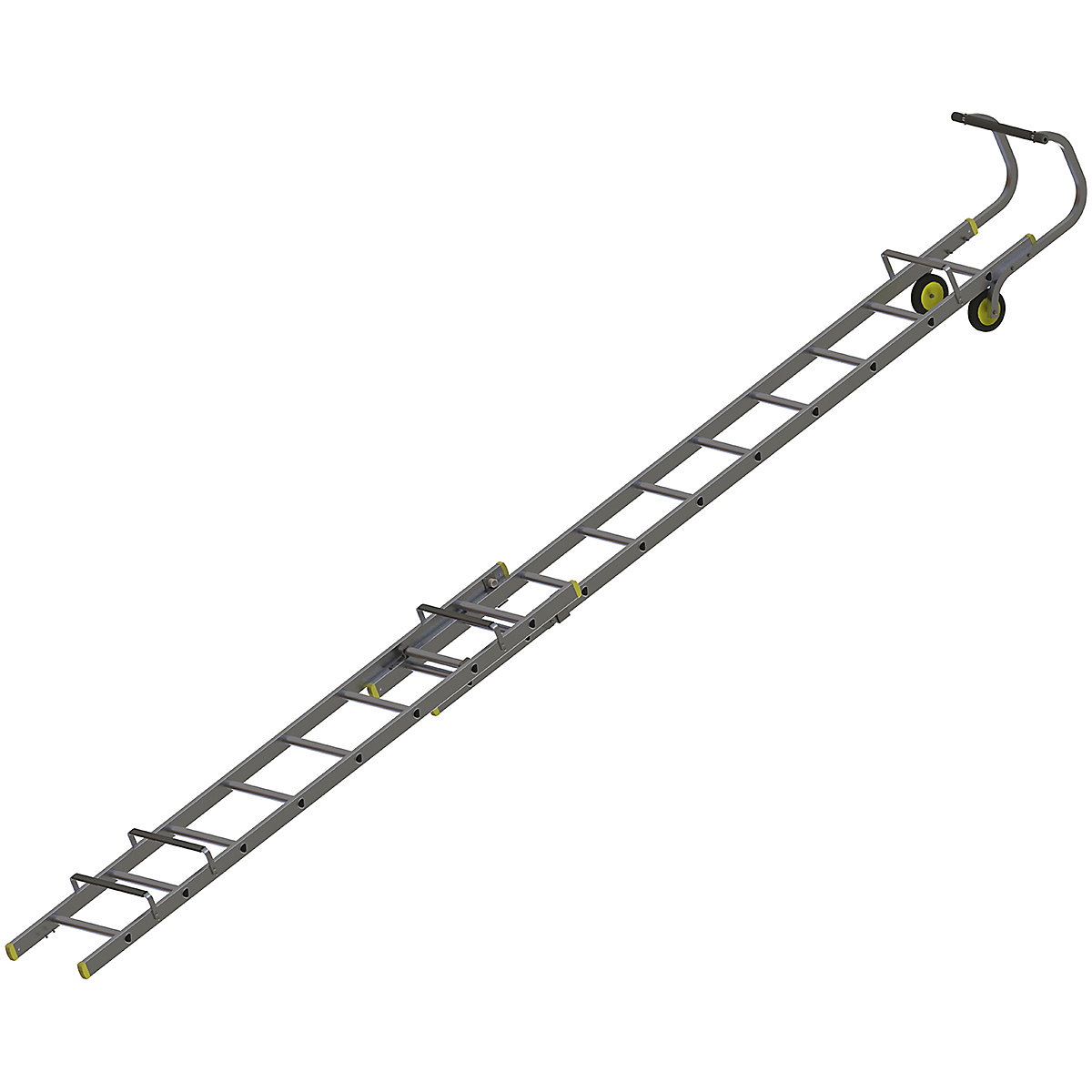 Werner Roof Ladder