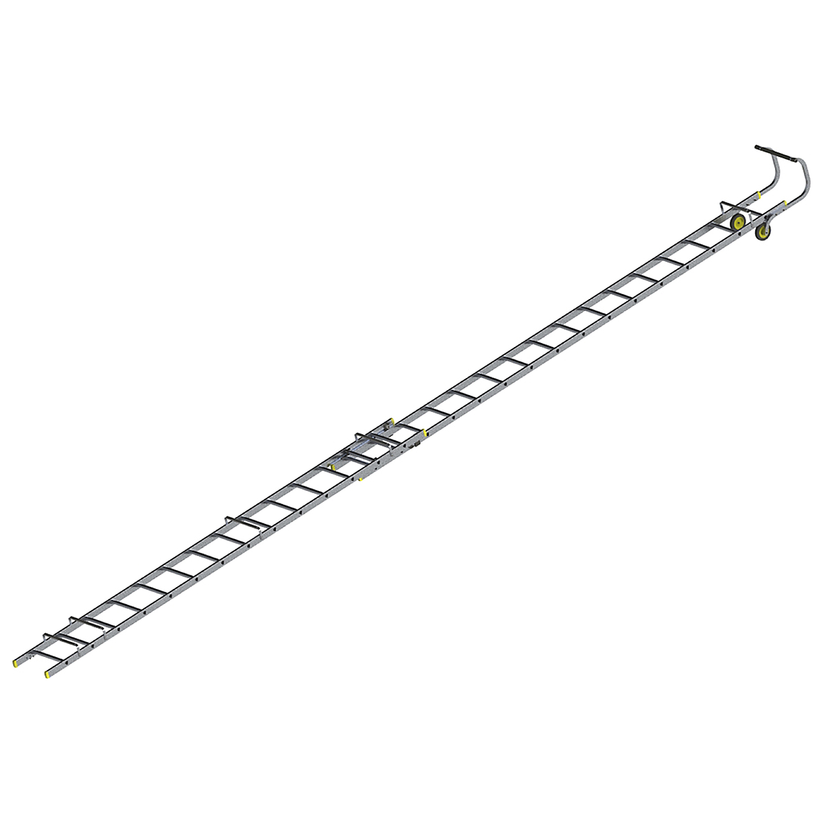 YMRL82_1
