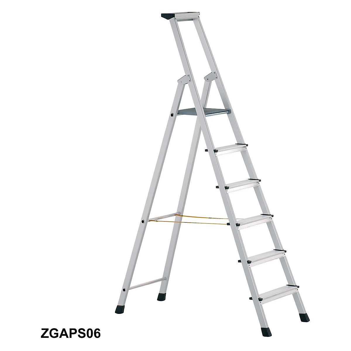 ZGAPS06_1