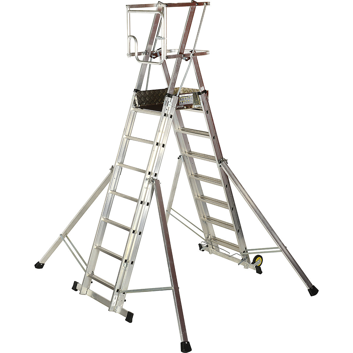 Werner Teleguard Combination Ladder