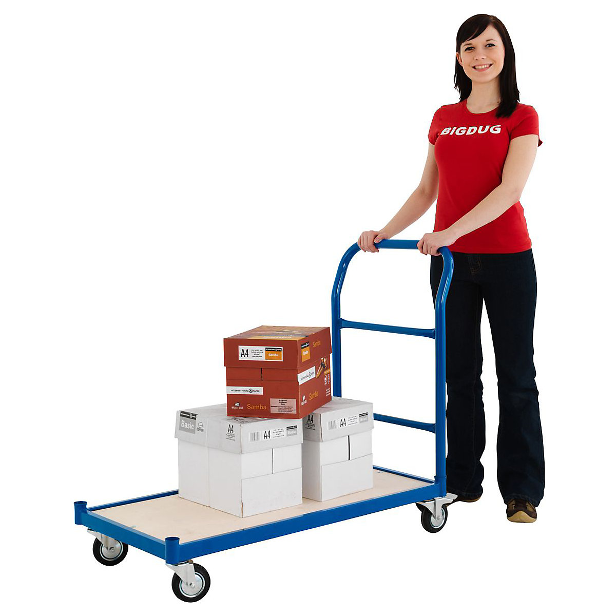 BiGDUG Essentials 250kg Platform Truck