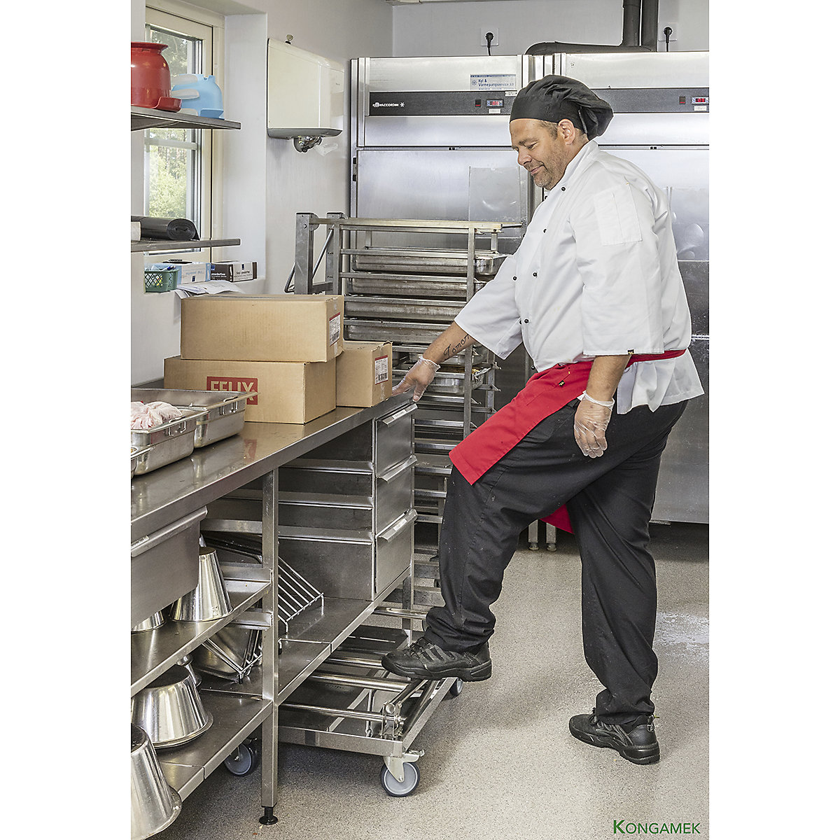 Kongamek Stainless Steel Platform Trolley (Product illustration 8)-7