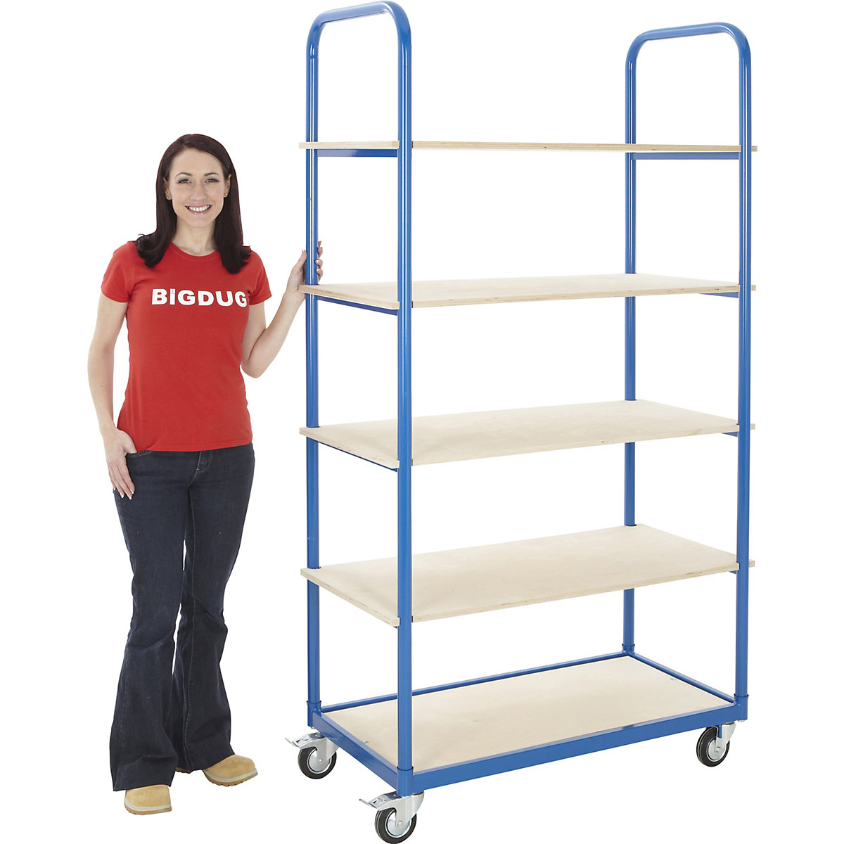 BiGDUG Essentials Order Picker Shelf Trolley Mega Deal (Product illustration 5)-4