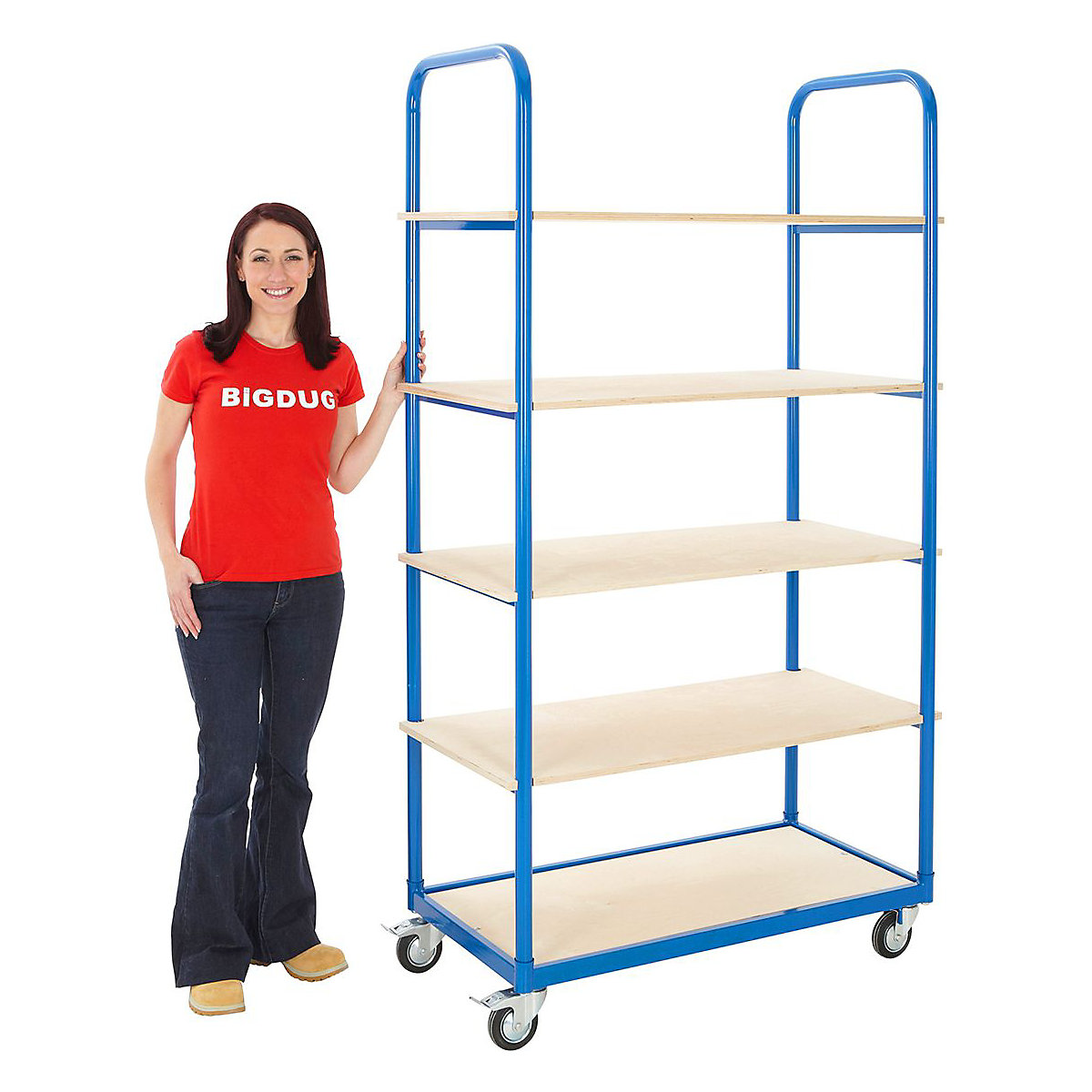 BiGDUG Essentials Order Picker Shelf Trolley