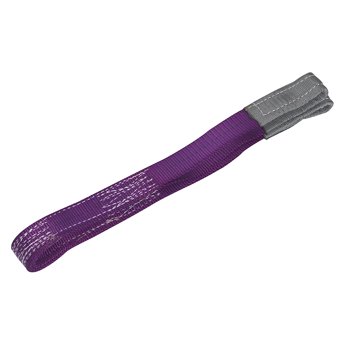 SELS1001_1