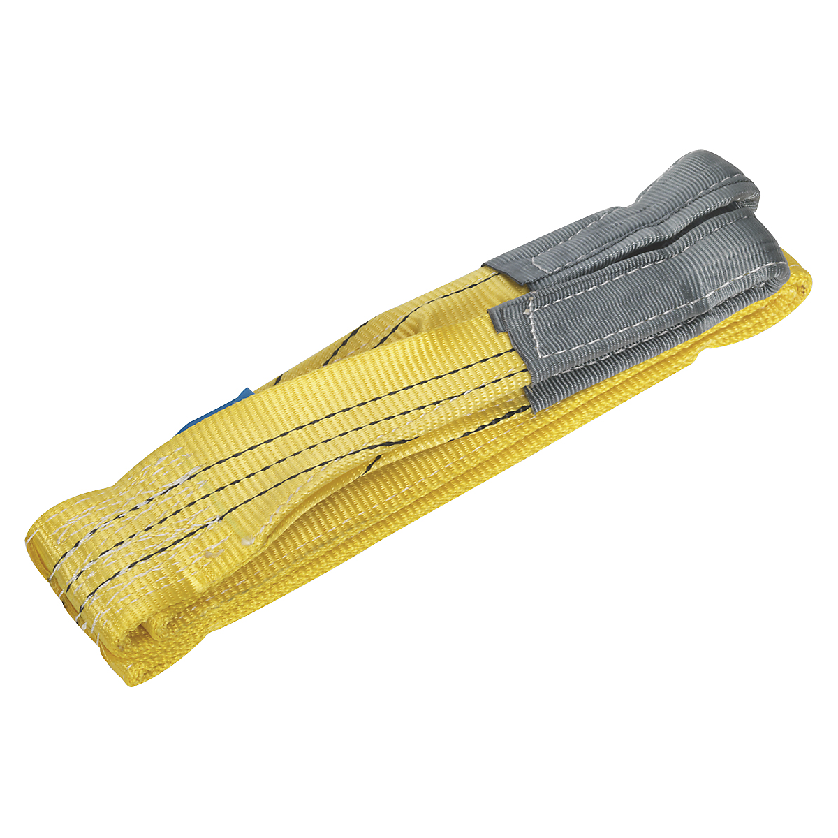 SELS3003_1