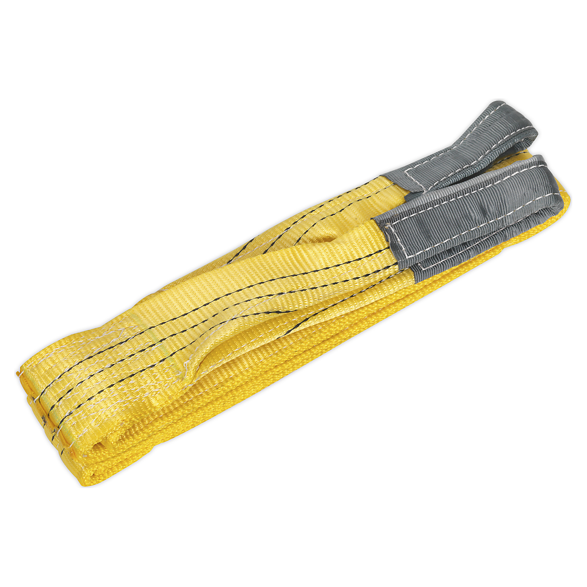 SELS3004_1