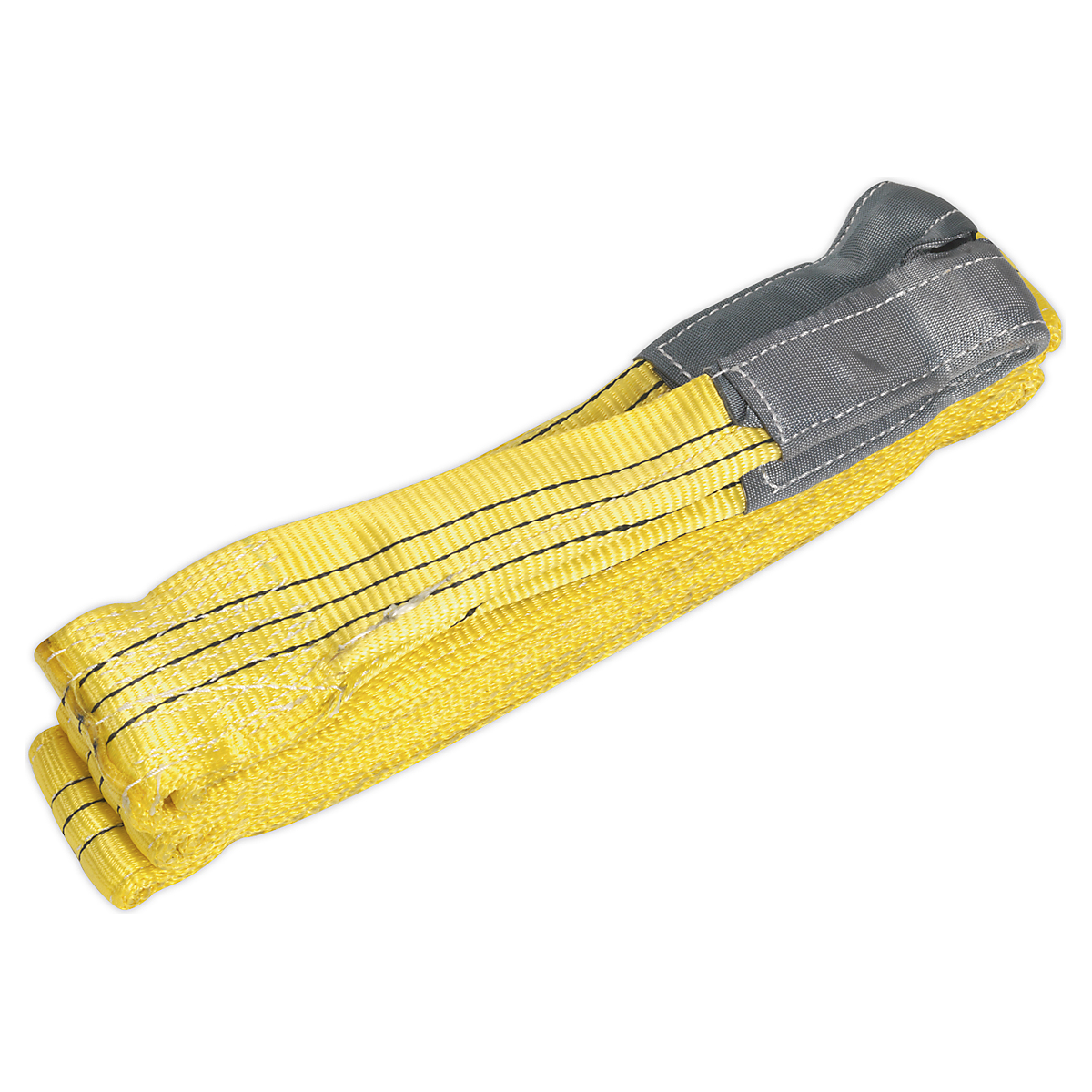 SELS3005_1