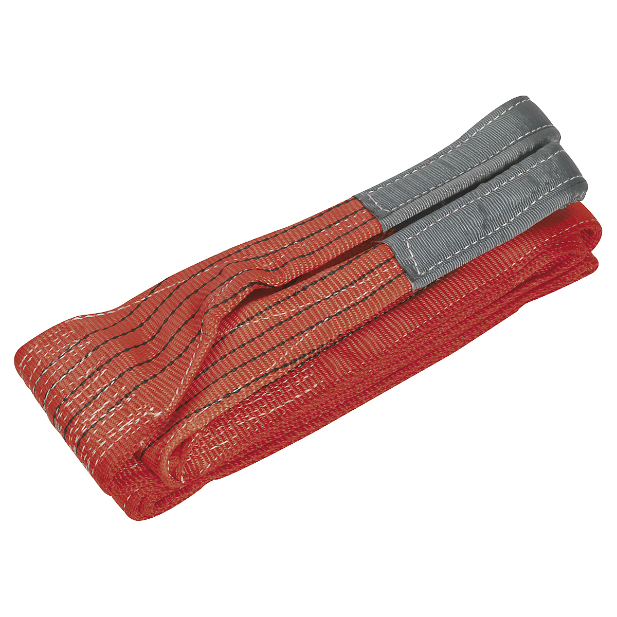 SELS5004_1