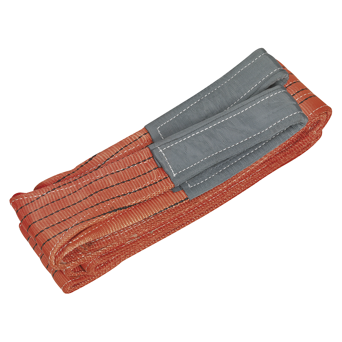 SELS5005_1