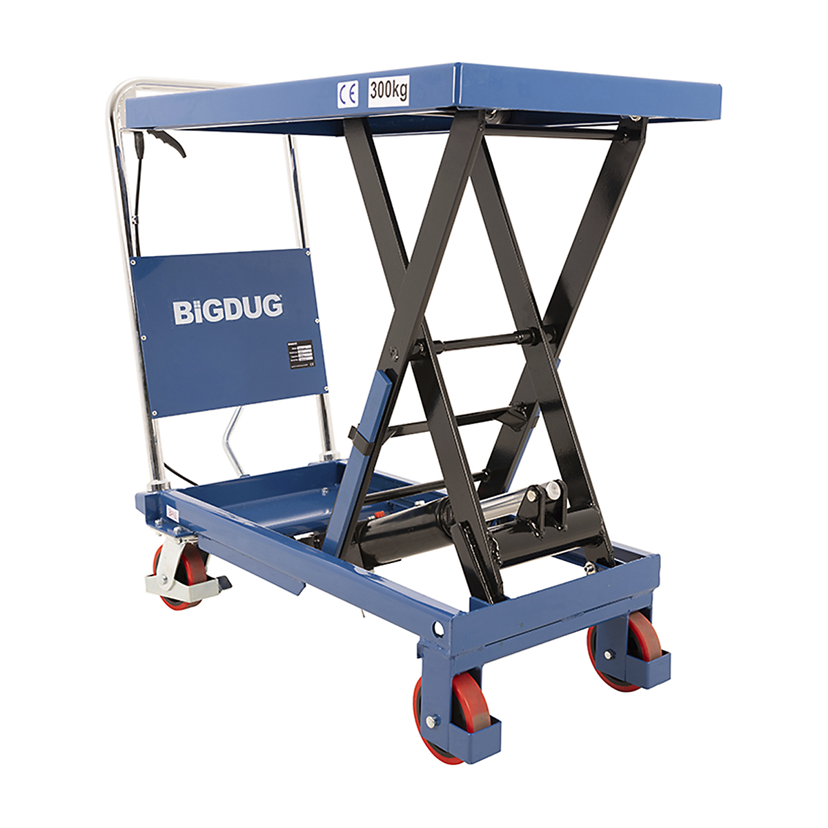 BDSP300S_1