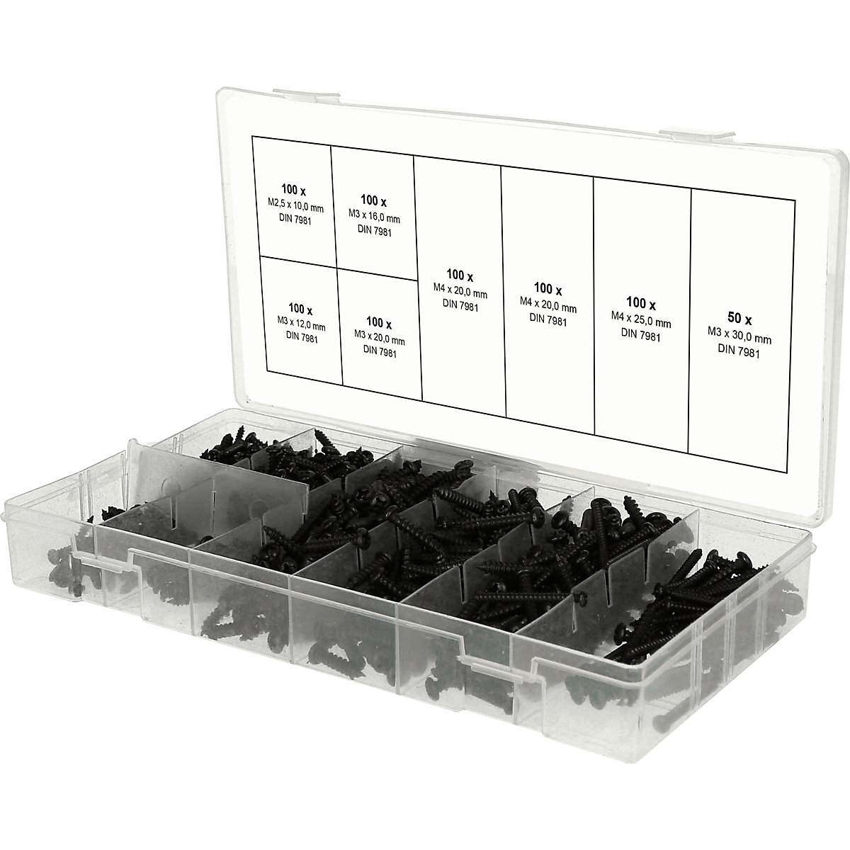 Blechschrauben-Sortiment Torx Linsenkopf DIN7981 – 250 Teile, 3,5 & 3,9mm, Schwarz Verzinkt