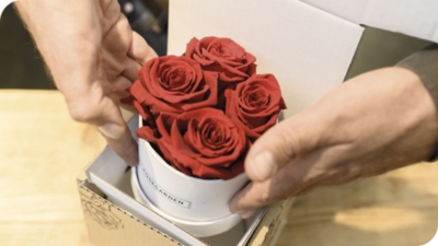 De belles roses sorties de la boîte 160