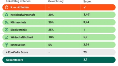 Enkelfähig Score 931