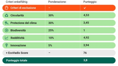 Enkelfähig Score 931