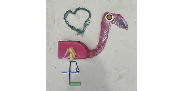 Artă creată din gunoi – Flamingo