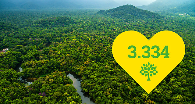 3334 árvores plantadas