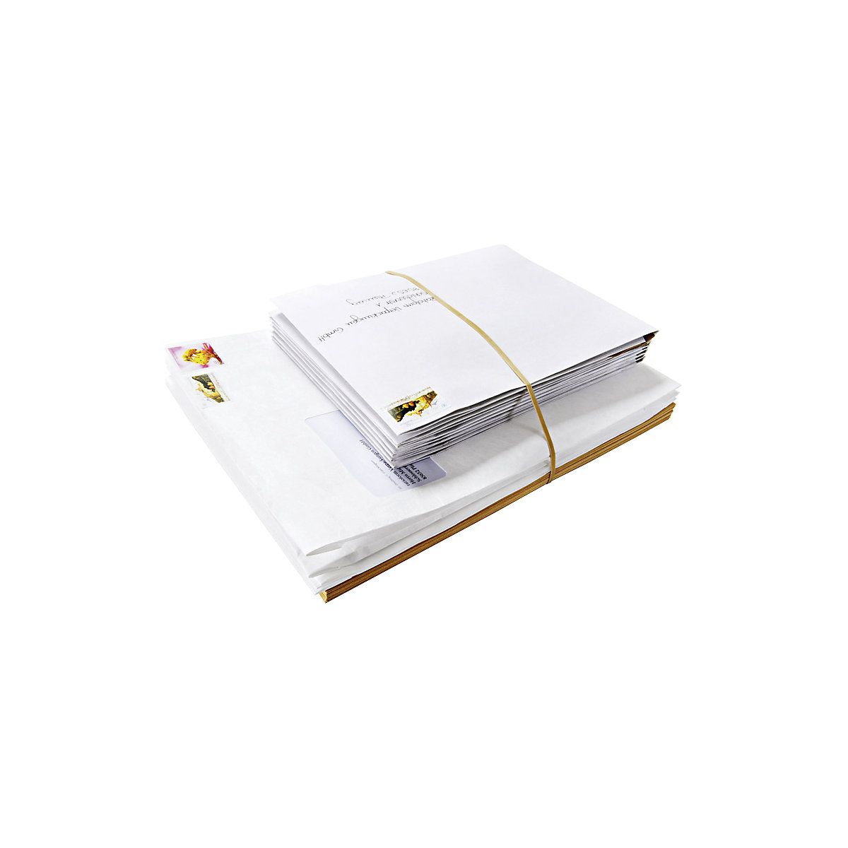 Elastici – ratioform (Foto prodotto 3)-2