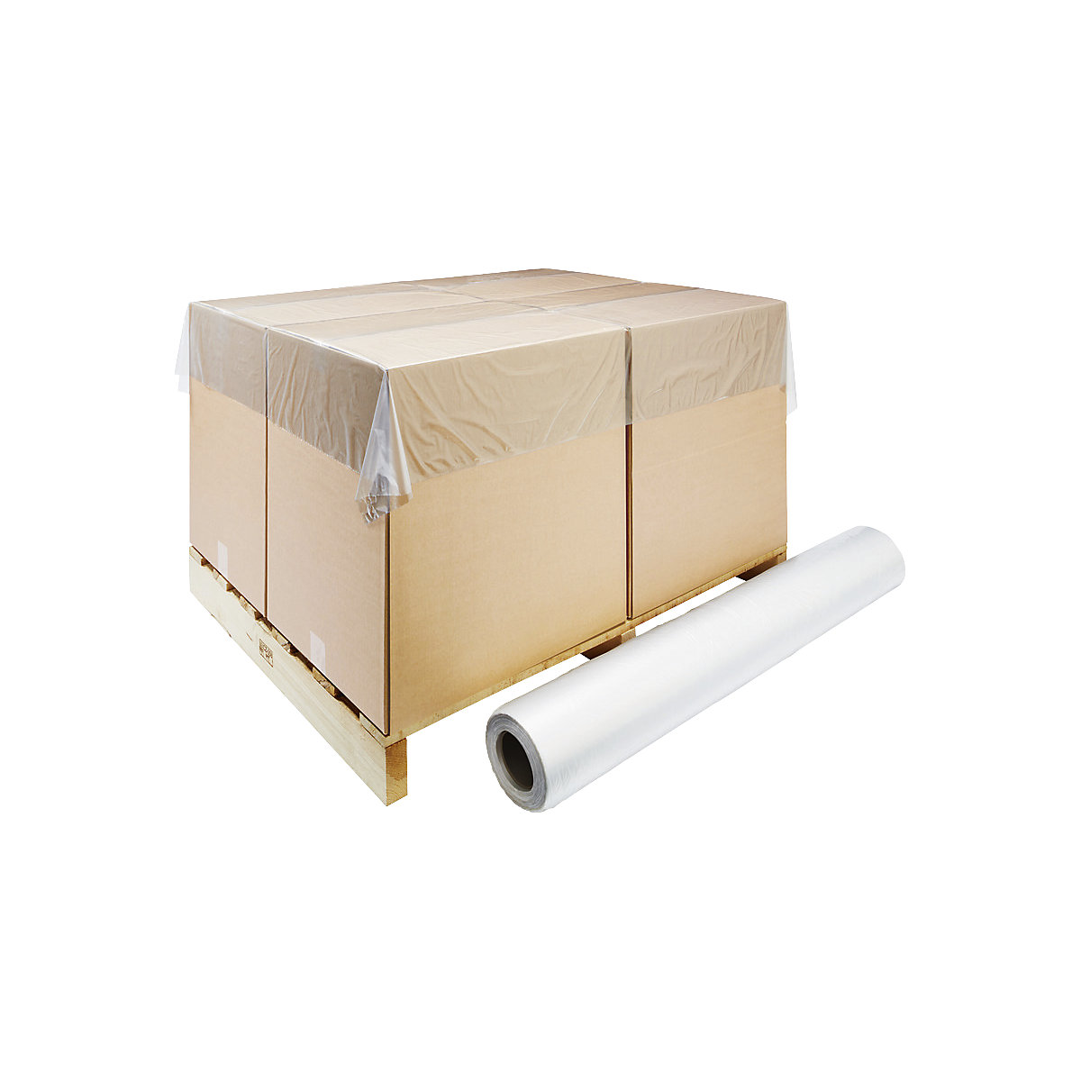 Fogli di copertura - ratioform economy