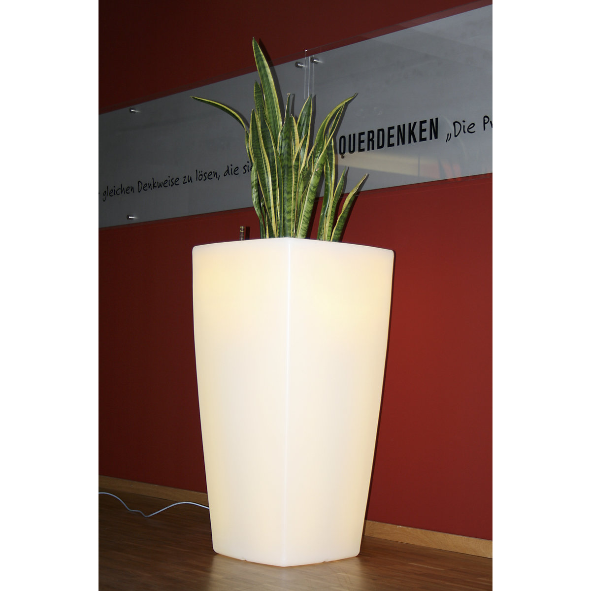 Recipiente para plantas – DEGARDO (Imagem do produto 3)-2