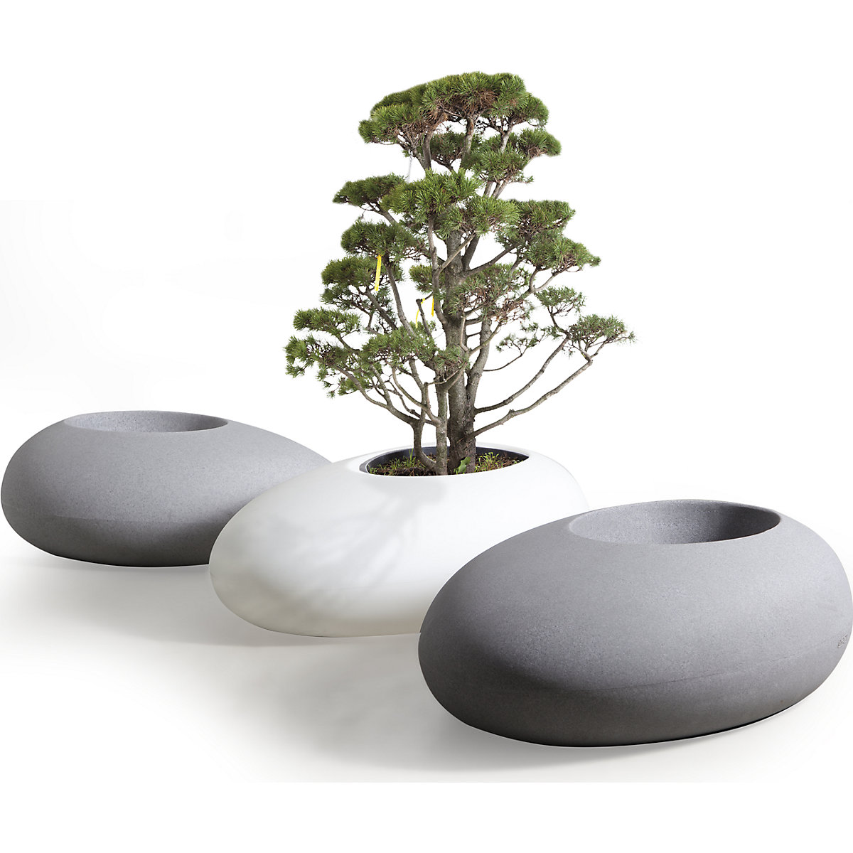 Recipiente para plantas – DEGARDO (Imagem do produto 3)-2