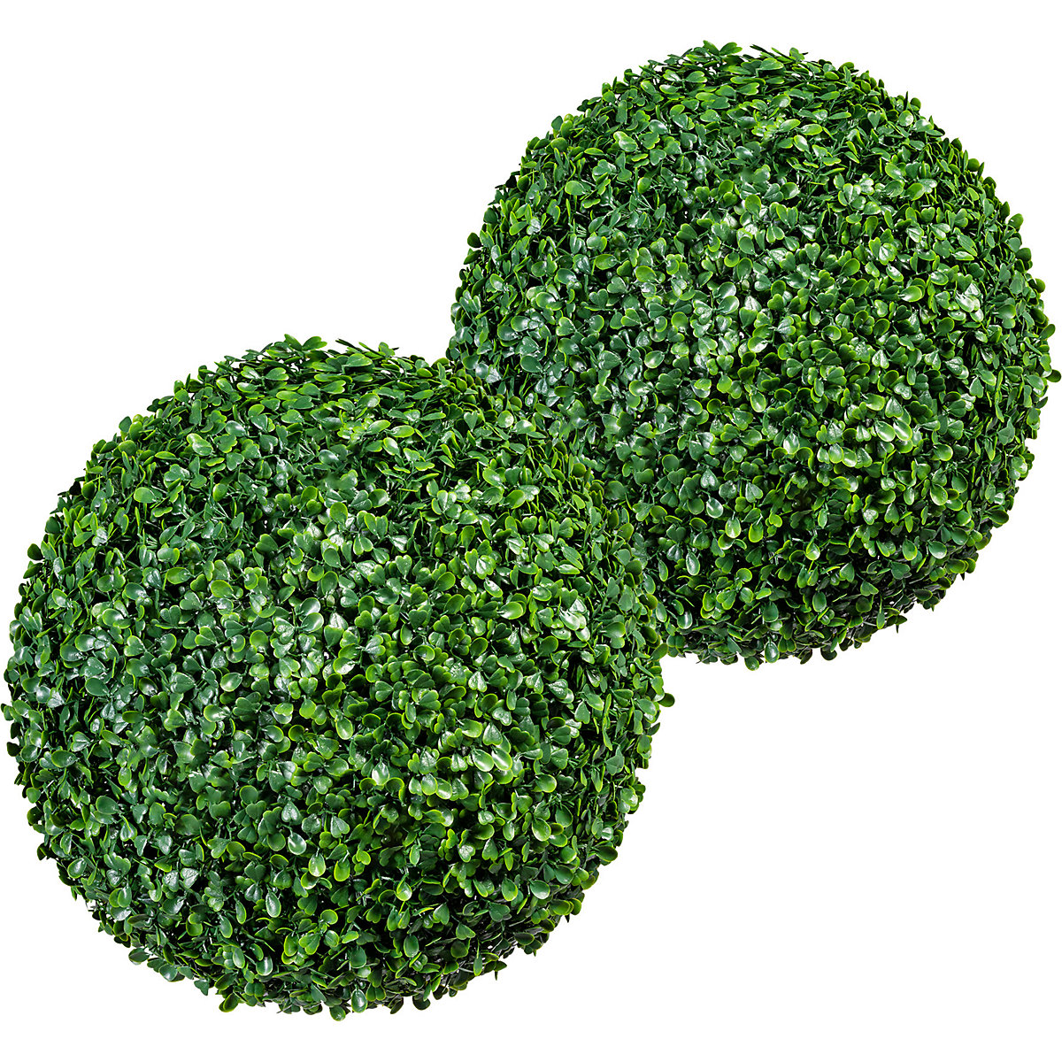 Buxusgömb