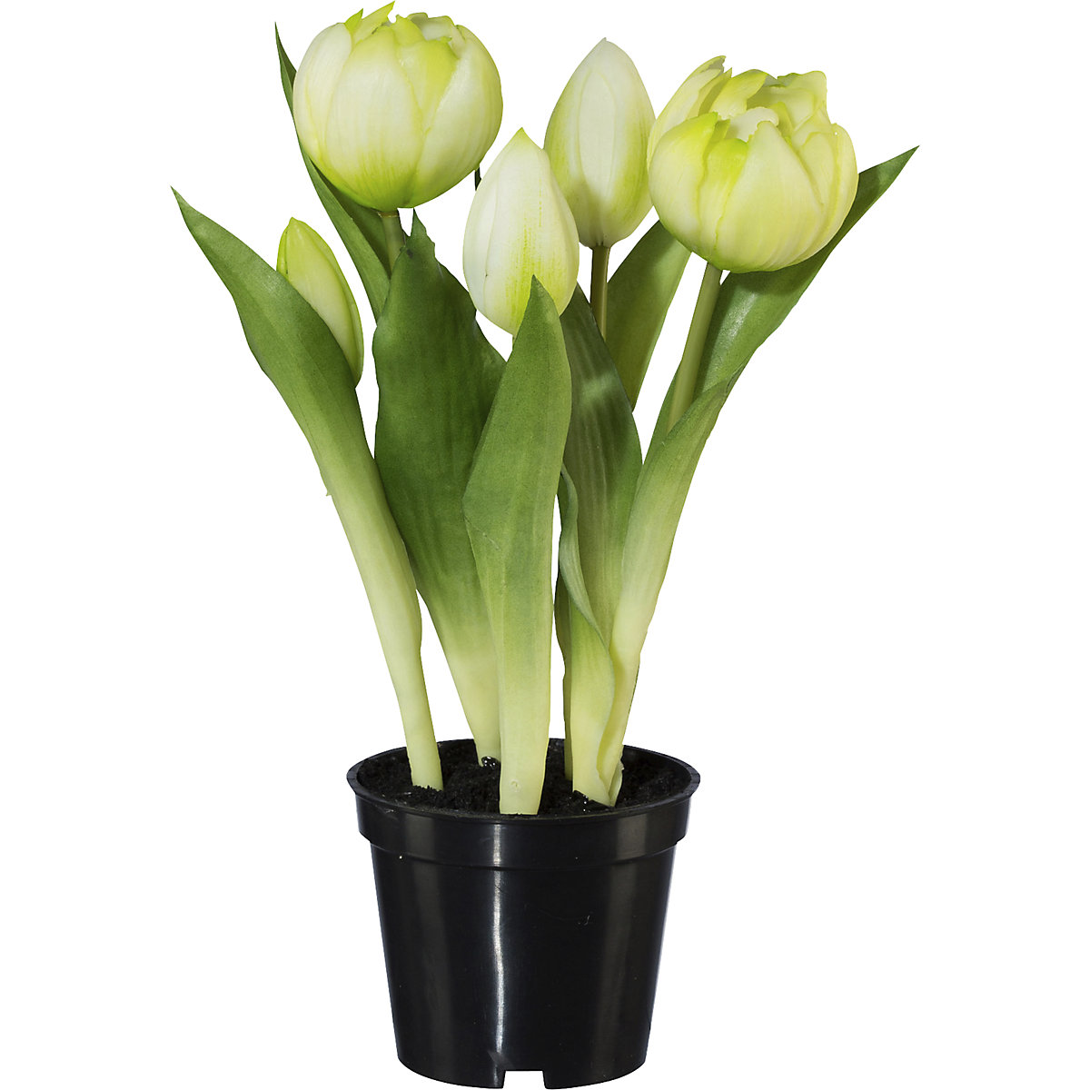 Teltvirágú tulipánok, valódi tapintás, cserépben (Termék képe 2)-1